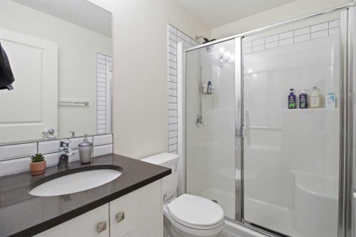 402-11 Evanscrest Mews Nw, Calgary, AB - Indoor Photo Showing Bathroom
