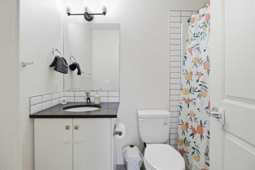 402-11 Evanscrest Mews Nw, Calgary, AB - Indoor Photo Showing Bathroom