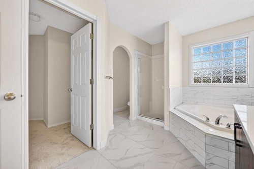 240 Cove Drive, Chestermere, AB - Indoor Photo Showing Bathroom