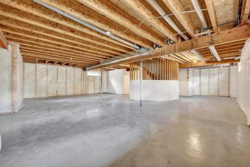 240 Cove Drive, Chestermere, AB - Indoor Photo Showing Basement