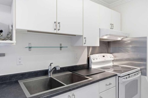 8C-80 Galbraith Drive Sw, Calgary, AB - Indoor Photo Showing Kitchen With Double Sink