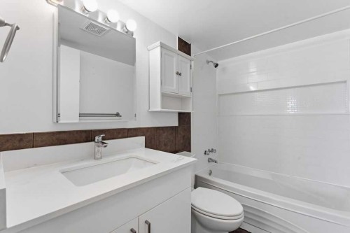 8C-80 Galbraith Drive Sw, Calgary, AB - Indoor Photo Showing Bathroom