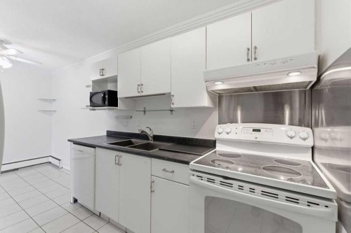 8C-80 Galbraith Drive Sw, Calgary, AB - Indoor Photo Showing Kitchen With Double Sink