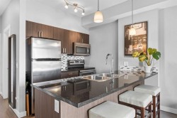 414-117 Copperpond Common  Calgary, AB T2Z 5E2