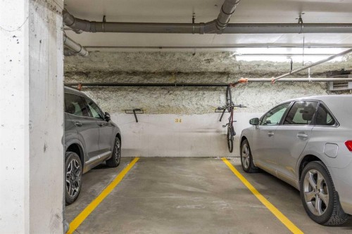 414-117 Copperpond Common, Calgary, AB - Indoor Photo Showing Garage