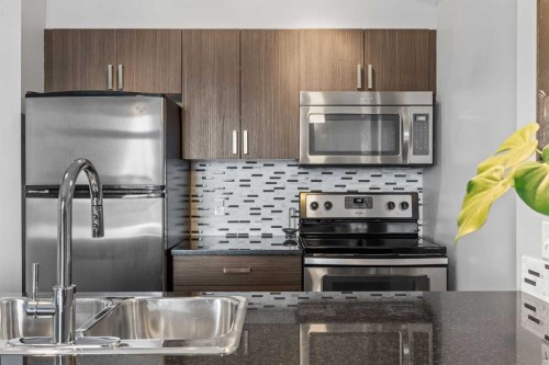 414-117 Copperpond Common, Calgary, AB - Indoor Photo Showing Kitchen With Stainless Steel Kitchen With Double Sink With Upgraded Kitchen