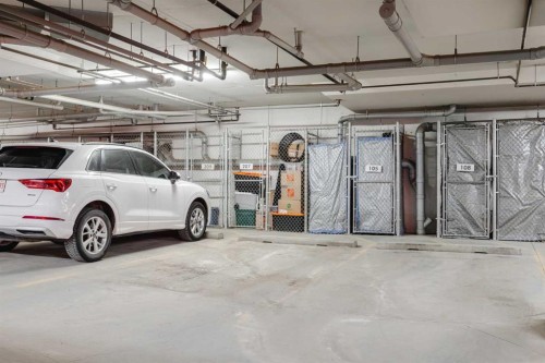 105-110 Auburn Meadows View Se, Calgary, AB - Indoor Photo Showing Garage