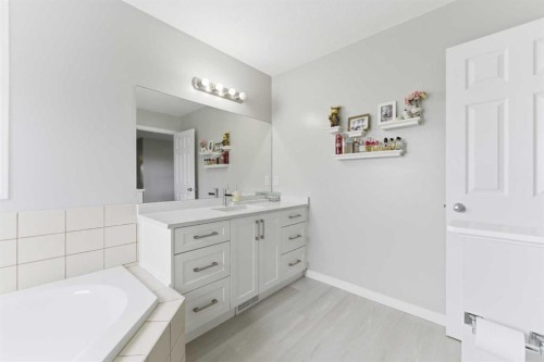 118 Saddletree Close Ne, Calgary, AB - Indoor Photo Showing Bathroom