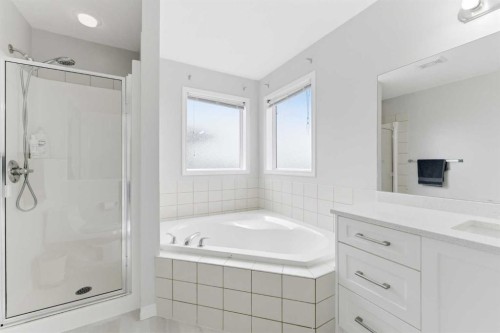 118 Saddletree Close Ne, Calgary, AB - Indoor Photo Showing Bathroom