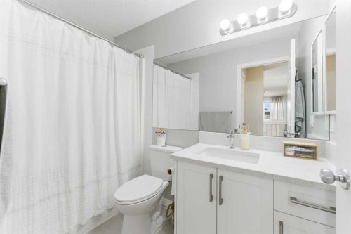 118 Saddletree Close Ne, Calgary, AB - Indoor Photo Showing Bathroom