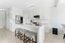 118 Saddletree Close Ne, Calgary, AB  - Indoor Photo Showing Kitchen With Upgraded Kitchen 