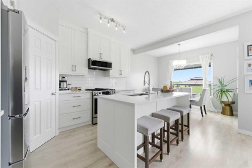 118 Saddletree Close Ne, Calgary, AB - Indoor Photo Showing Kitchen With Upgraded Kitchen