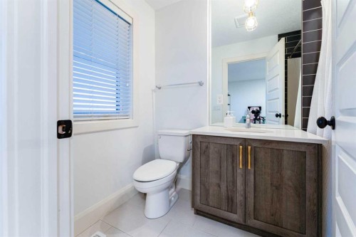 17 Cattail Run, Rural Rocky View County, AB - Indoor Photo Showing Bathroom