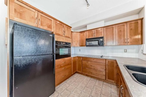 410-3111 34 Avenue Nw, Calgary, AB - Indoor Photo Showing Kitchen With Double Sink