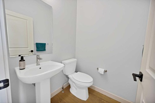 678 Cornerstone Avenue Ne, Calgary, AB - Indoor Photo Showing Bathroom