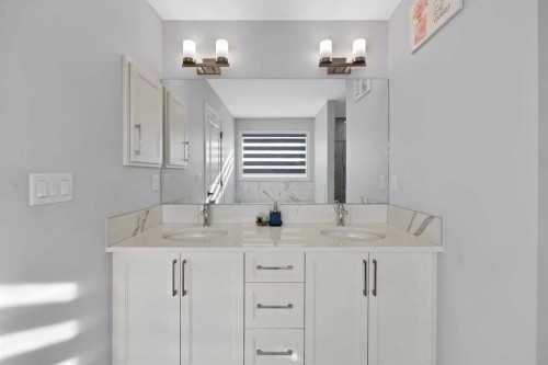 678 Cornerstone Avenue Ne, Calgary, AB - Indoor Photo Showing Bathroom