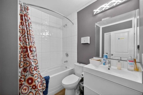 35 Erin Green Place Se, Calgary, AB - Indoor Photo Showing Bathroom