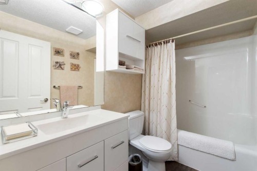 654 Lakeside Drive, Rural Vulcan County, AB - Indoor Photo Showing Bathroom