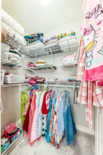 58 Bridleridge Green Sw, Calgary, AB - Indoor With Storage