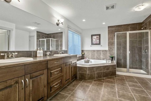 222 Chapala Point Se, Calgary, AB - Indoor Photo Showing Bathroom