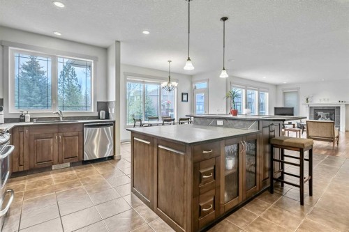 222 Chapala Point Se, Calgary, AB - Indoor Photo Showing Kitchen With Upgraded Kitchen