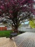 1203 34 Street Se, Calgary, AB 