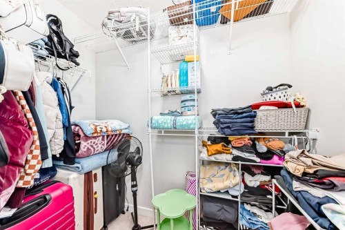 72 Cornerstone Avenue Ne, Calgary, AB - Indoor With Storage