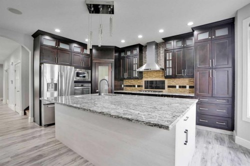 265 Saddlelake Drive Ne, Calgary, AB - Indoor Photo Showing Kitchen With Upgraded Kitchen