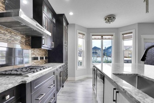 265 Saddlelake Drive Ne, Calgary, AB - Indoor Photo Showing Kitchen With Upgraded Kitchen