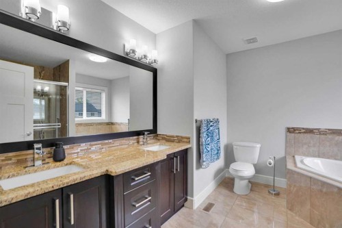 265 Saddlelake Drive Ne, Calgary, AB - Indoor Photo Showing Bathroom