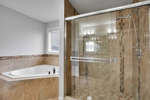 265 Saddlelake Drive Ne, Calgary, AB - Indoor Photo Showing Bathroom