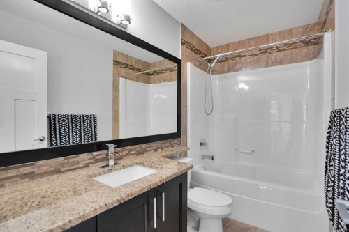 265 Saddlelake Drive Ne, Calgary, AB - Indoor Photo Showing Bathroom