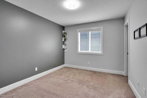 265 Saddlelake Drive Ne, Calgary, AB - Indoor Photo Showing Other Room