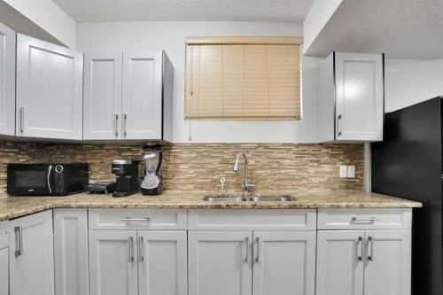 265 Saddlelake Drive Ne, Calgary, AB - Indoor Photo Showing Kitchen With Double Sink