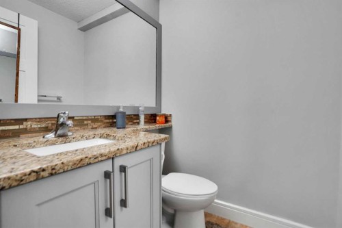 265 Saddlelake Drive Ne, Calgary, AB - Indoor Photo Showing Bathroom