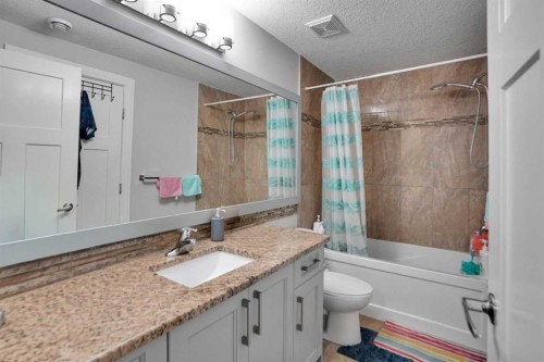 265 Saddlelake Drive Ne, Calgary, AB - Indoor Photo Showing Bathroom