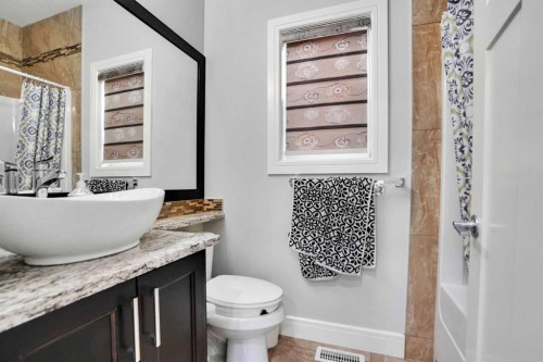 265 Saddlelake Drive Ne, Calgary, AB - Indoor Photo Showing Bathroom