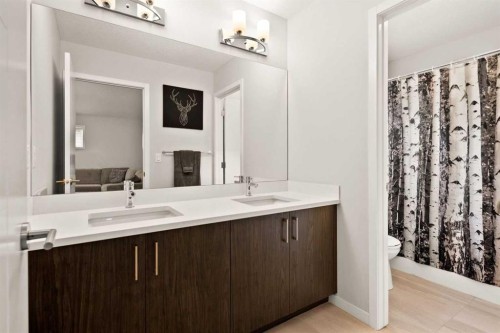 1107 Copperfield Boulevard Se, Calgary, AB - Indoor Photo Showing Bathroom