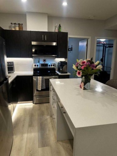 1107 Copperfield Boulevard Se, Calgary, AB - Indoor Photo Showing Kitchen