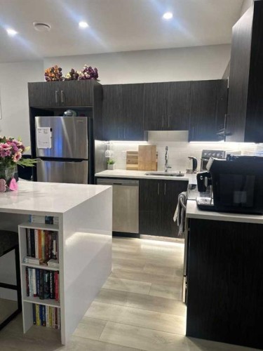 1107 Copperfield Boulevard Se, Calgary, AB - Indoor Photo Showing Kitchen With Stainless Steel Kitchen With Upgraded Kitchen