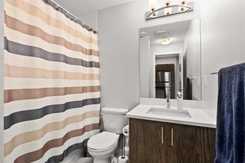 1107 Copperfield Boulevard Se, Calgary, AB - Indoor Photo Showing Bathroom