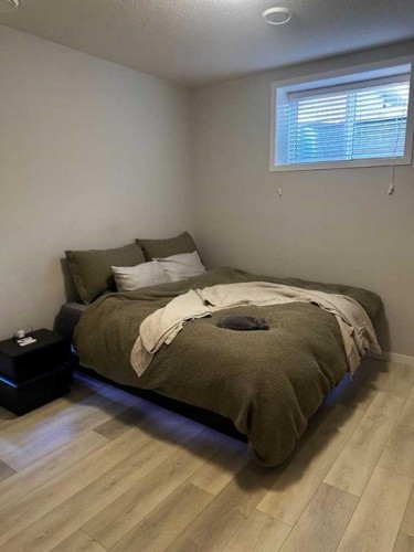 1107 Copperfield Boulevard Se, Calgary, AB - Indoor Photo Showing Bedroom