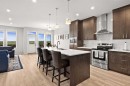 1107 Copperfield Boulevard Se, Calgary, AB  - Indoor Photo Showing Kitchen With Upgraded Kitchen 