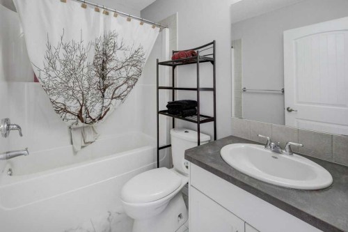316 Ranch Garden, Strathmore, AB - Indoor Photo Showing Bathroom