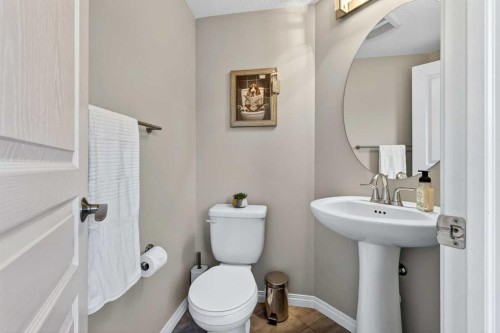 31 Cranford Close Se, Calgary, AB - Indoor Photo Showing Bathroom