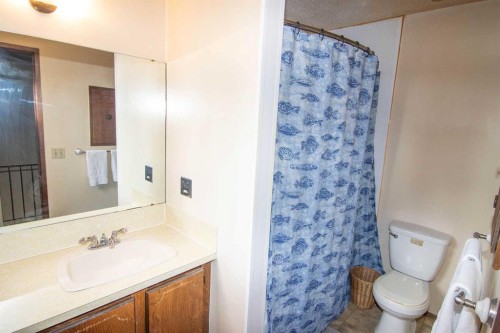 5502 Temple Road Ne, Calgary, AB - Indoor Photo Showing Bathroom