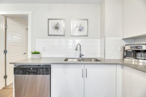 314 Cranbrook Square Se, Calgary, AB - Indoor Photo Showing Kitchen With Double Sink