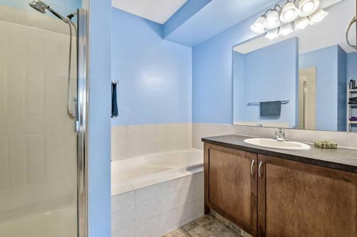 158 New Brighton Lane Se, Calgary, AB - Indoor Photo Showing Bathroom