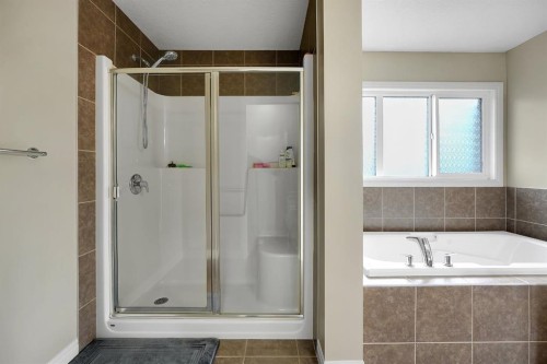 25 Redstone Path Ne, Calgary, AB - Indoor Photo Showing Bathroom