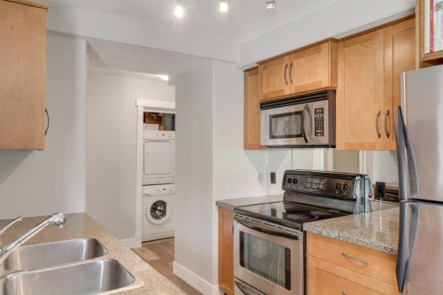 101-355 5 Avenue Ne, Calgary, AB - Indoor Photo Showing Kitchen With Double Sink